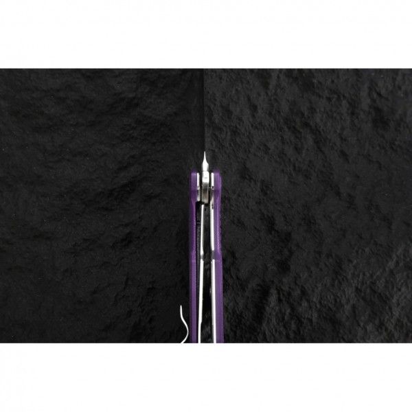 Ніж складаний Ganzo G769-PL