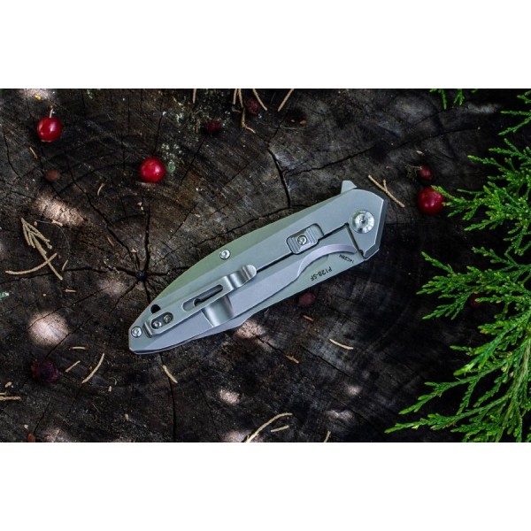 Складаний ніж Ruike P128-SF