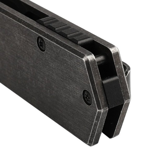 Ніж Ganzo Firebird FH13-SS